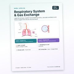 Cover of the Respiratory System & Gas Exchange Lab lesson pack